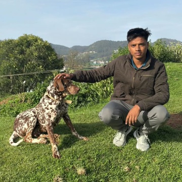 Pavan crouching on a grassy hill with a spotted dog, green hills behind